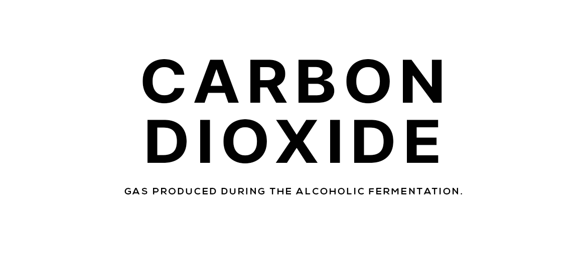 Carbon dioxide co2 champagne