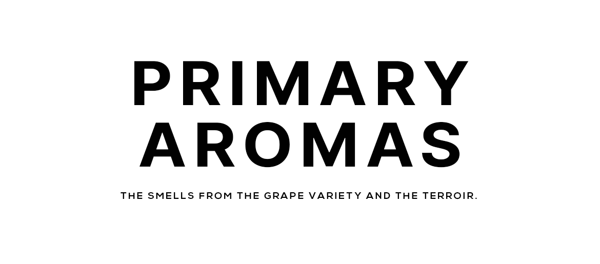 Primary Aromas Champagne