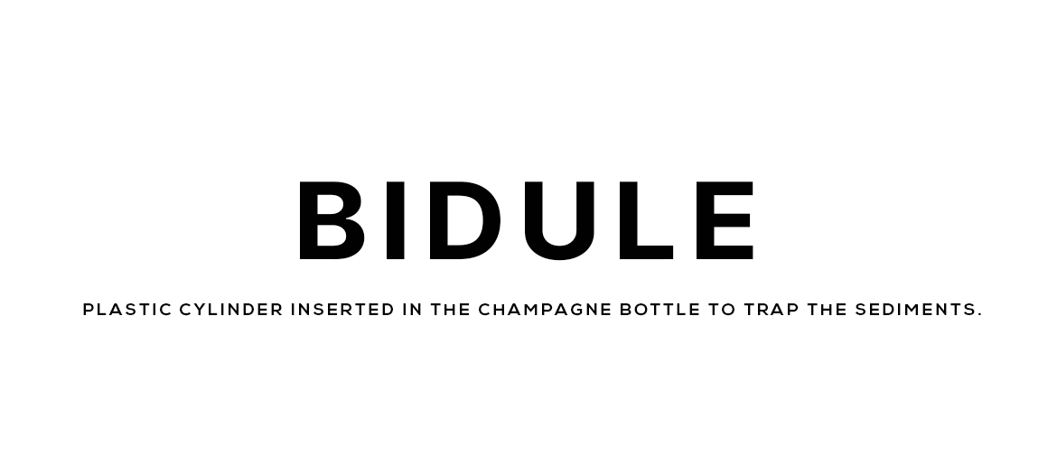 bidule bidule