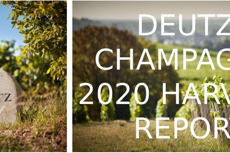 Deutz Champagne Harvest 2020 Report