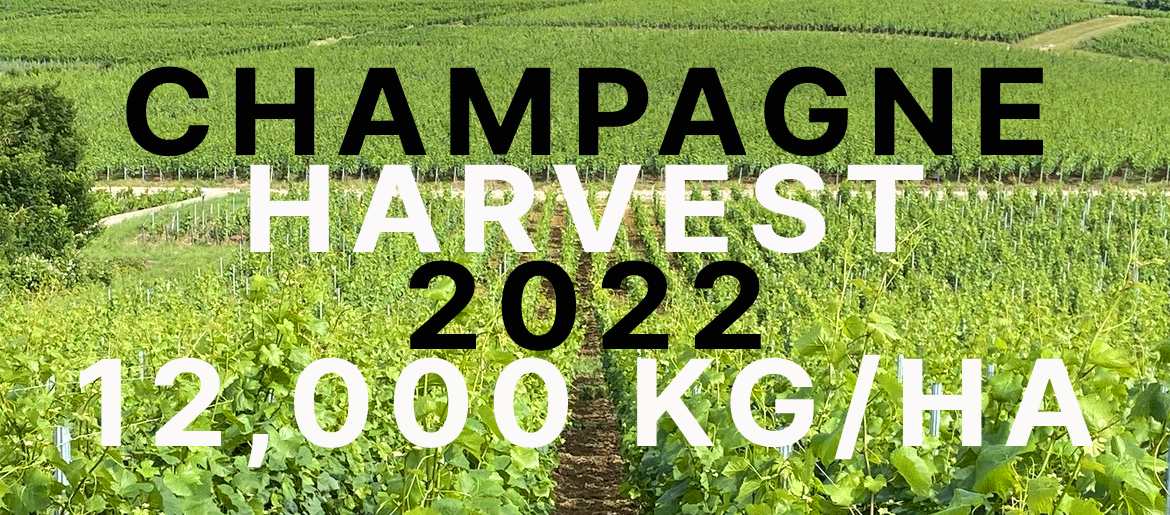 Champagne Yield for 2022 harvest Set at 12,000 kg/ha (highest in 15