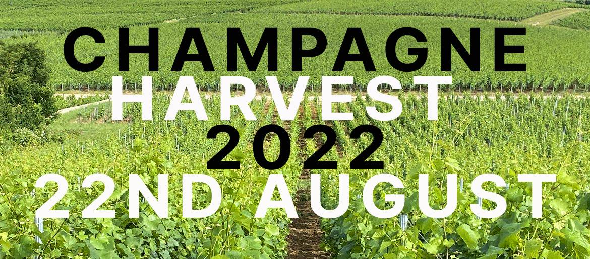 Champagne 2022 Harvest to Start on 22nd August